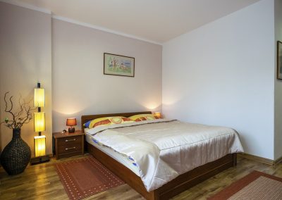 guest-house-apartment-ubytovanie-penzion-alena-bojnice-apartman-01-2