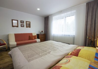 guest-house-apartment-ubytovanie-penzion-alena-bojnice-apartman-01-4