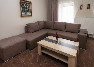 guest-house-apartment-ubytovanie-penzion-alena-bojnice-apartman-03-8